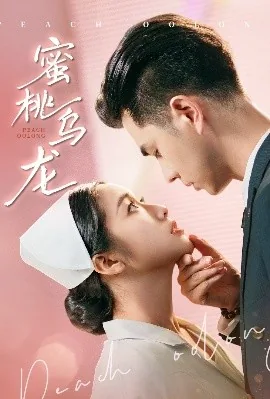 蜜桃乌龙茶包