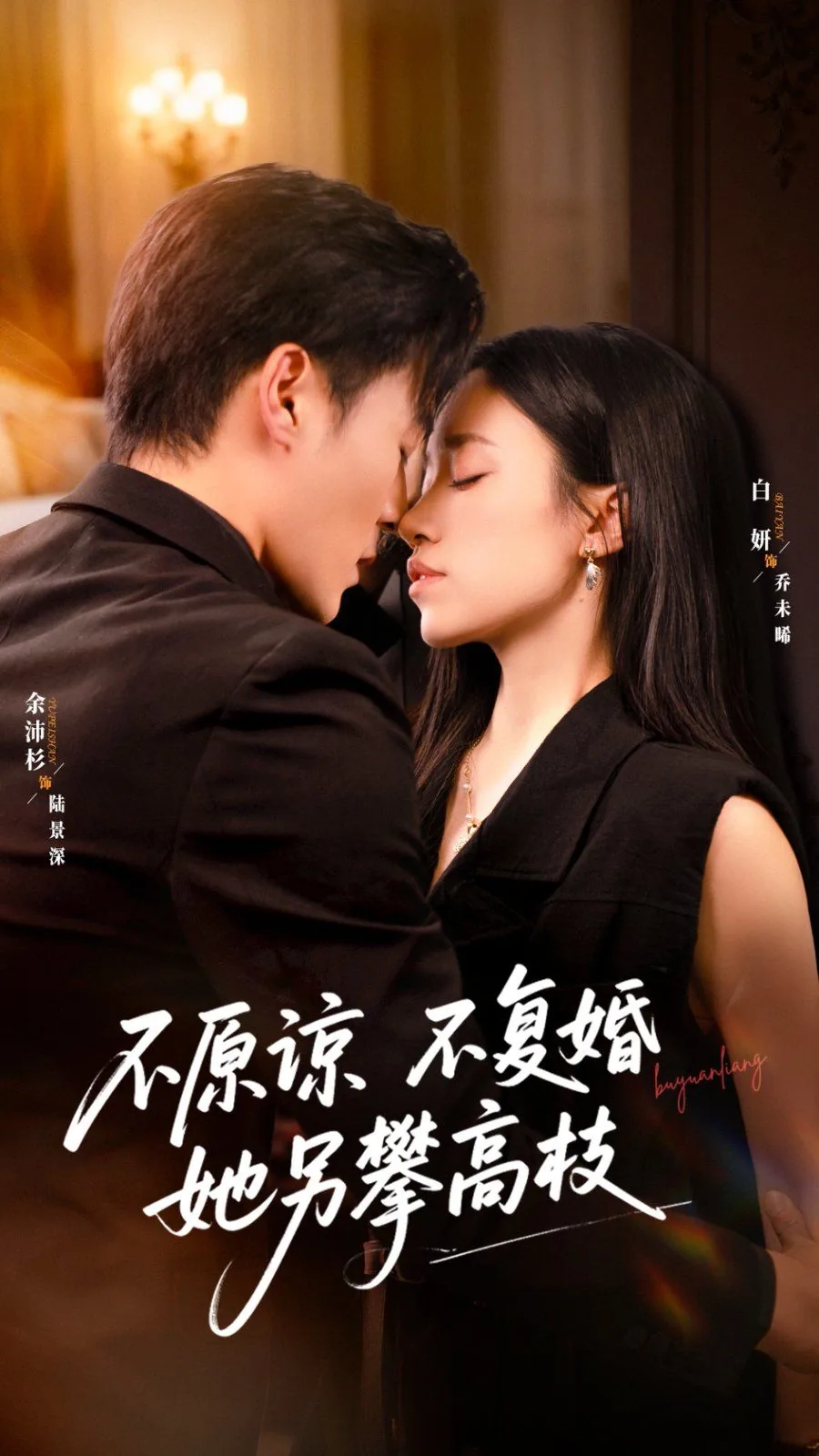 不原谅不复婚她另攀高枝短剧