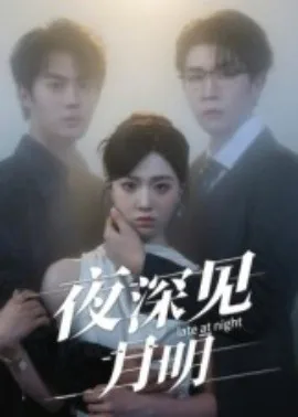 夜深见月明小说免费阅读