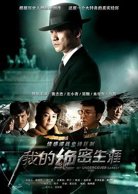 我的绝密生涯全集电视剧免费观看