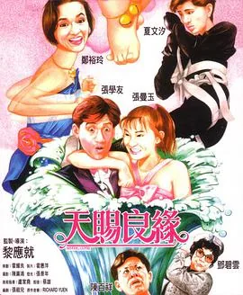 天降奇缘