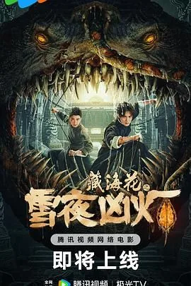 藏海花之雪夜凶灯电影在线观看
