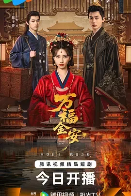 万福金安泡腾片适用范围