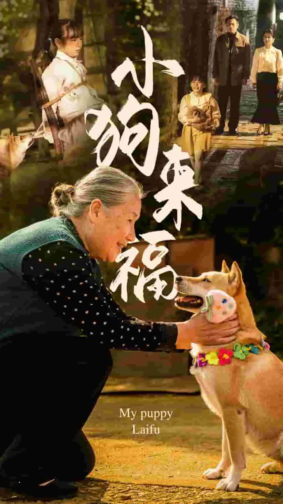 小狗来福全集免费