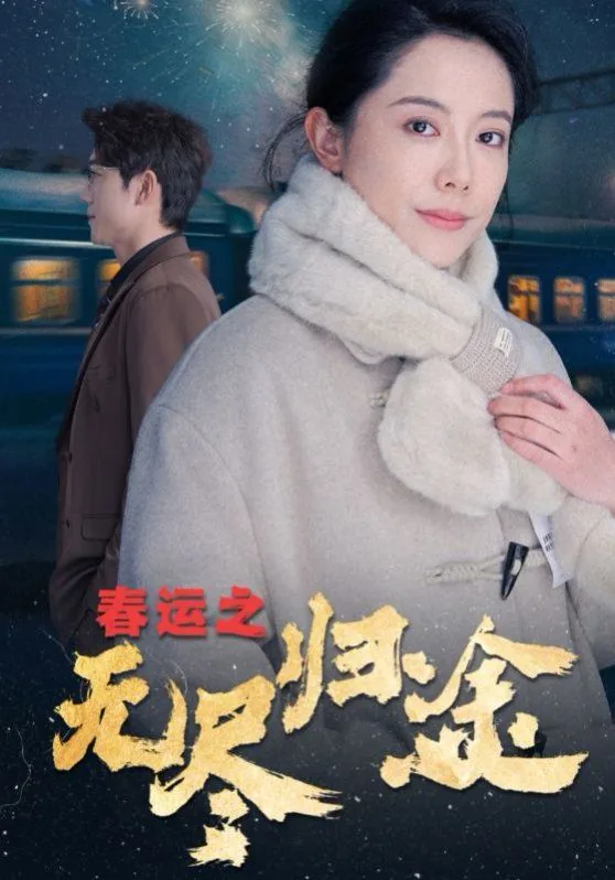 春运之无尽归途免费全集