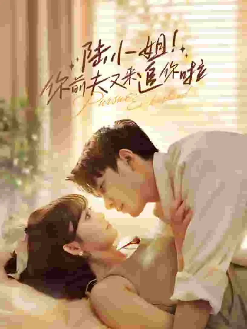 许小姐的前夫又倒追了