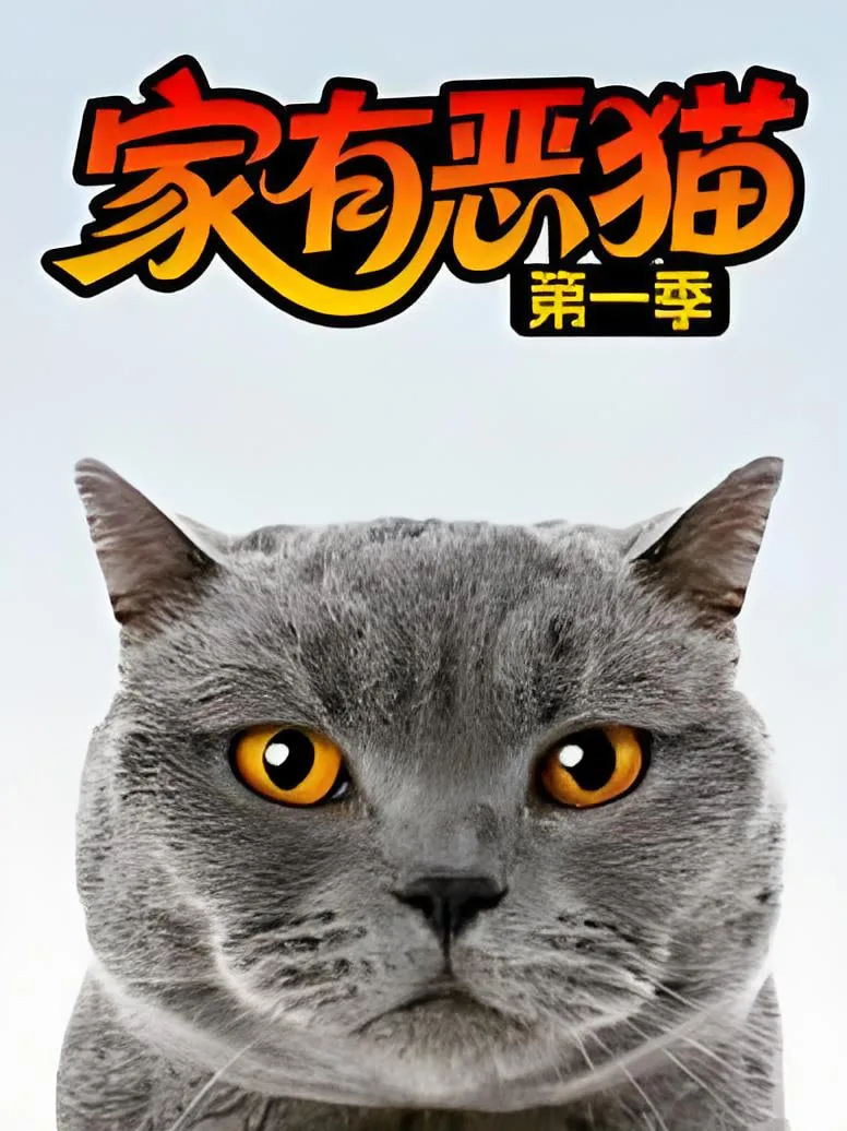 家有恶猫