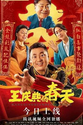 王庆典的春天电视剧