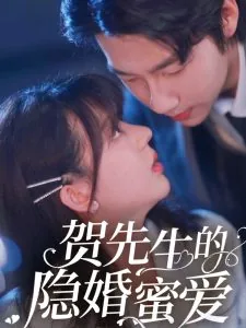 贺先生的隐婚蜜爱小说
