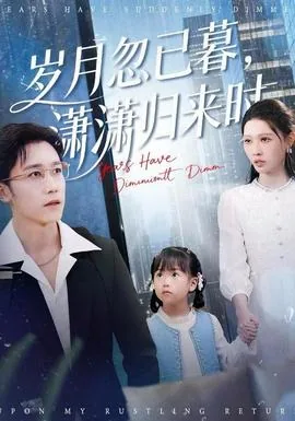 岁月忽已暮小说txt