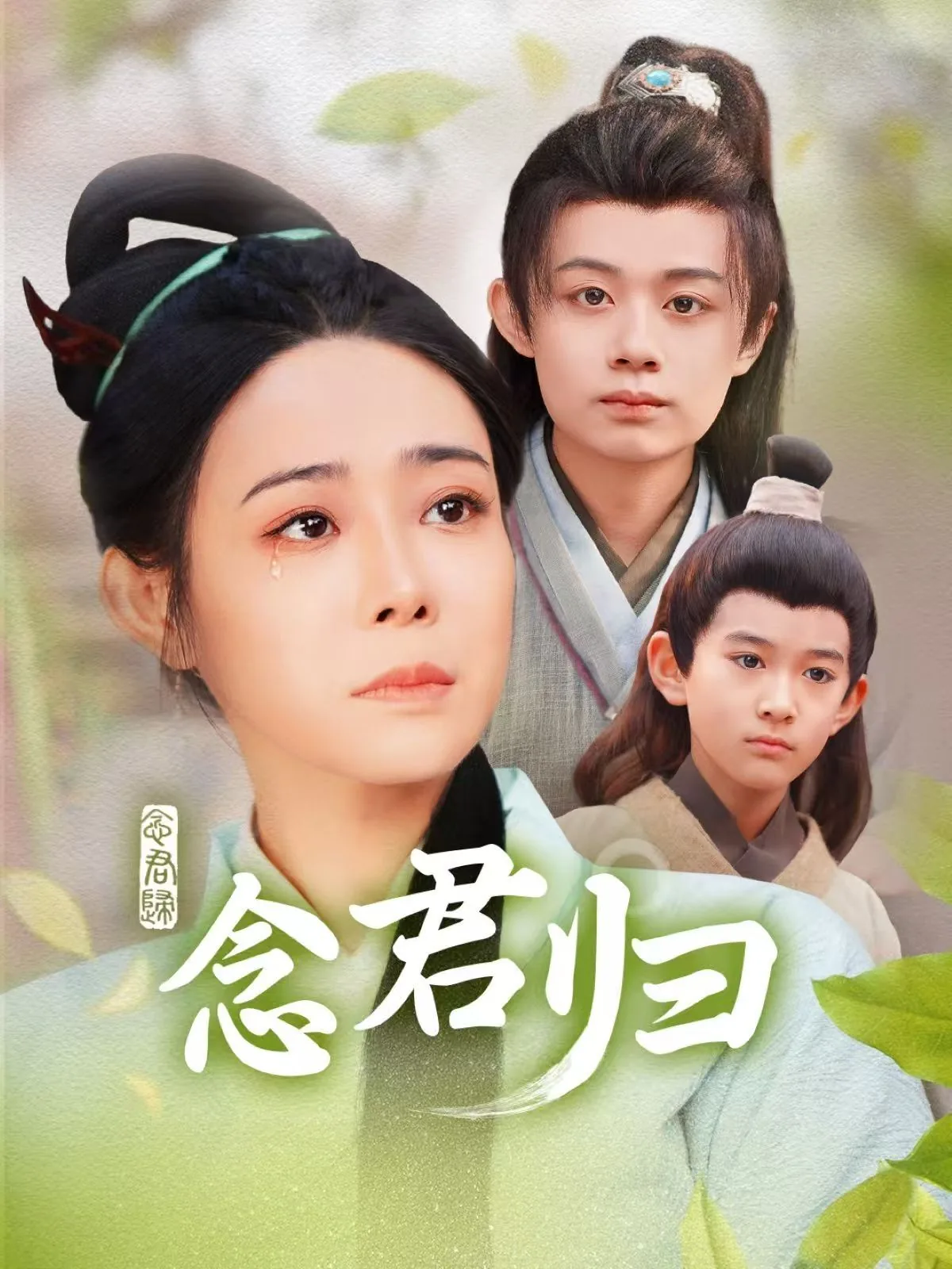 念君归逆水寒