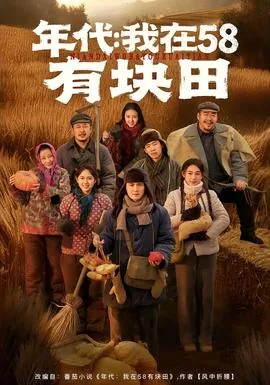 年代我在58有块田小说