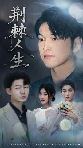 荆棘人生40集全免费观看
