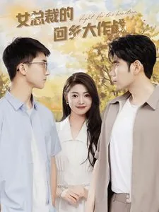 女总裁的回乡大作战类似小说
