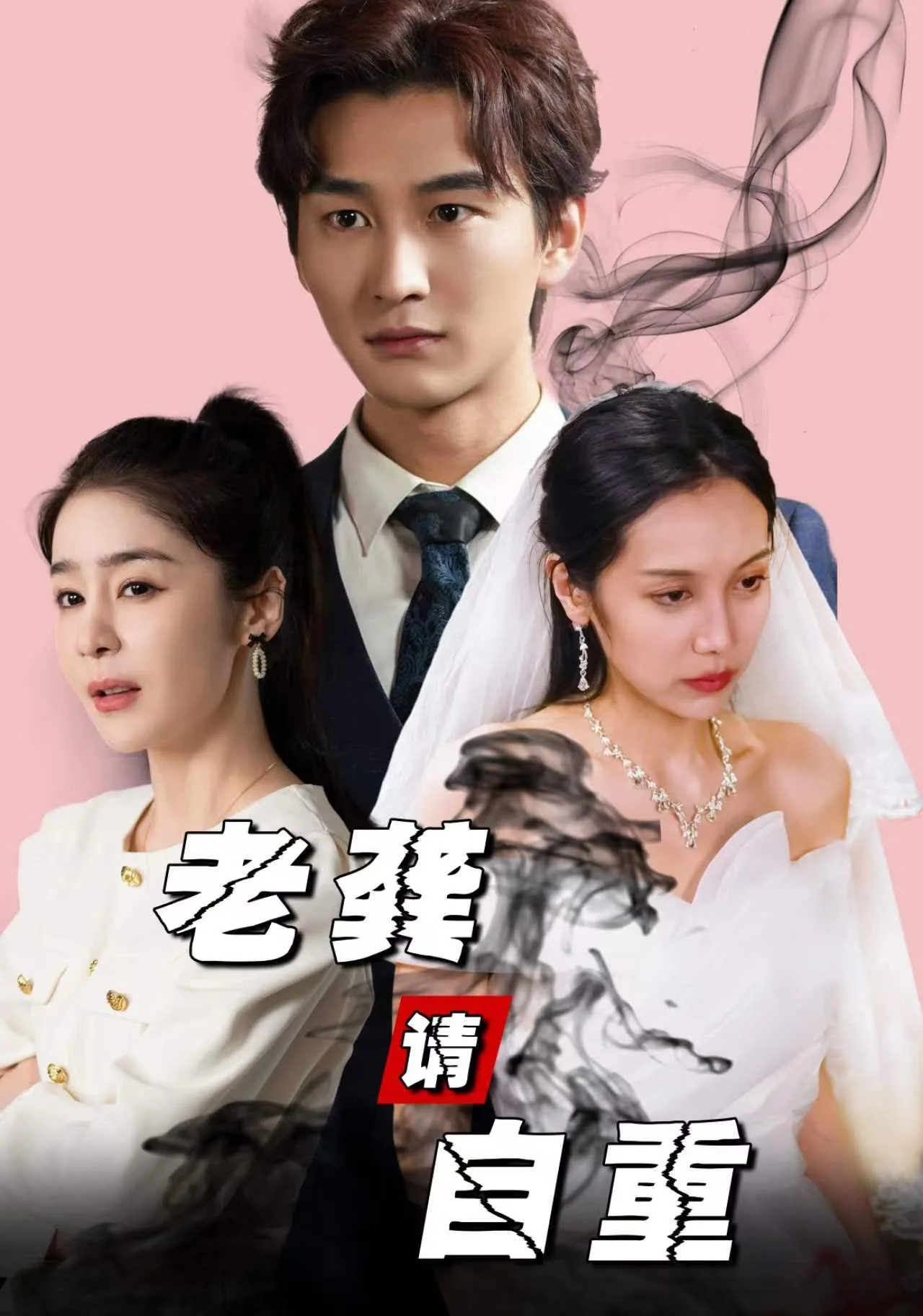 老公请自重短剧第27集