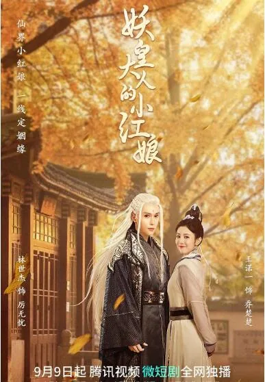 妖皇大人的小红娘全文阅读