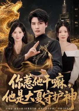 你惹他干嘛他是大夏守护神小说