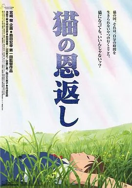 猫的报恩在线观看完整版