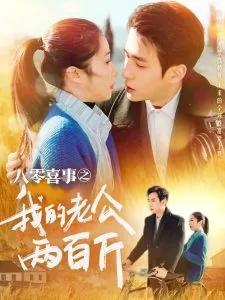 八零喜事之肥婆翻身