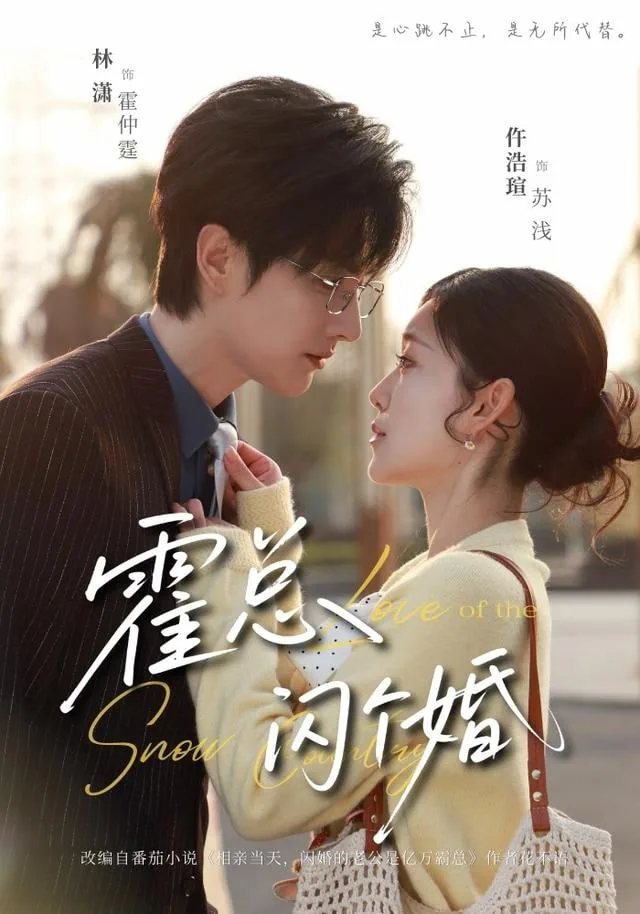 霍总闪个婚小说全文免费阅读