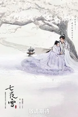 七夜雪播放量多少亿
