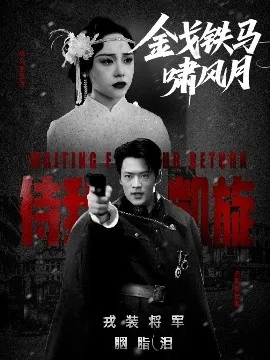 金戈铁马啸风月 扫黑除恶