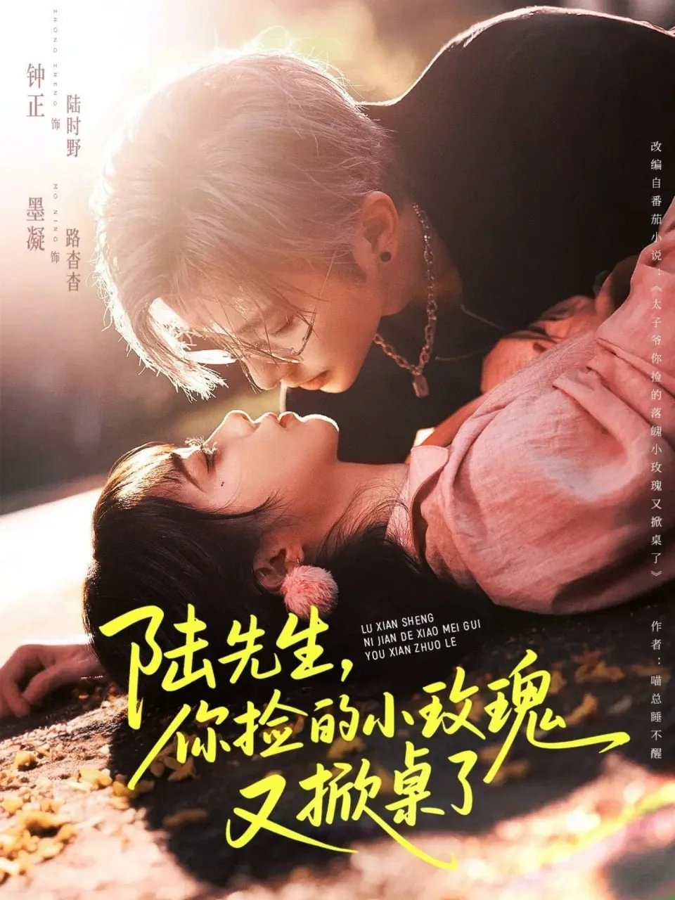 陆先生,你捡的小玫瑰又掀桌了短剧在线全集免费观看