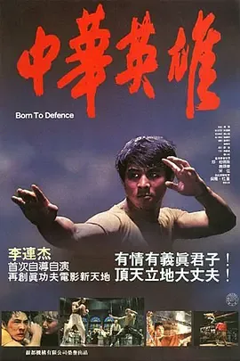 中华英雄1990全集