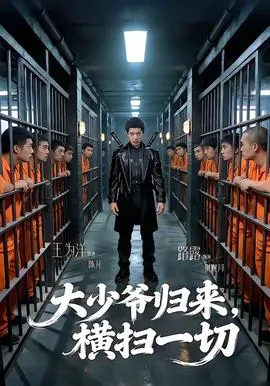 《大少归来》