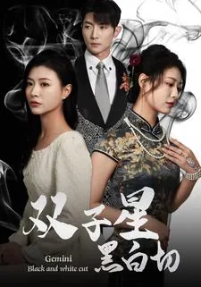 黑色双子星
