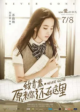 致青春·原来你还在这里 简介