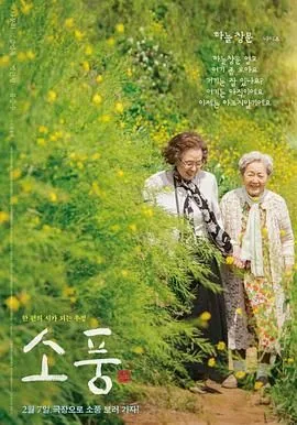 郊游攻略