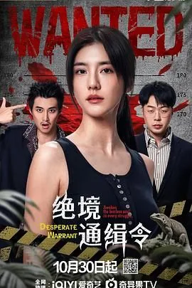 绝境通缉令电影完整版在线观看