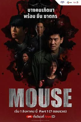 泰版窥探mouse更新时间
