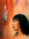 追幸福的人剧情介绍