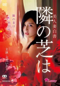 美人白书电影演员表