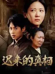 迟来的真相小说