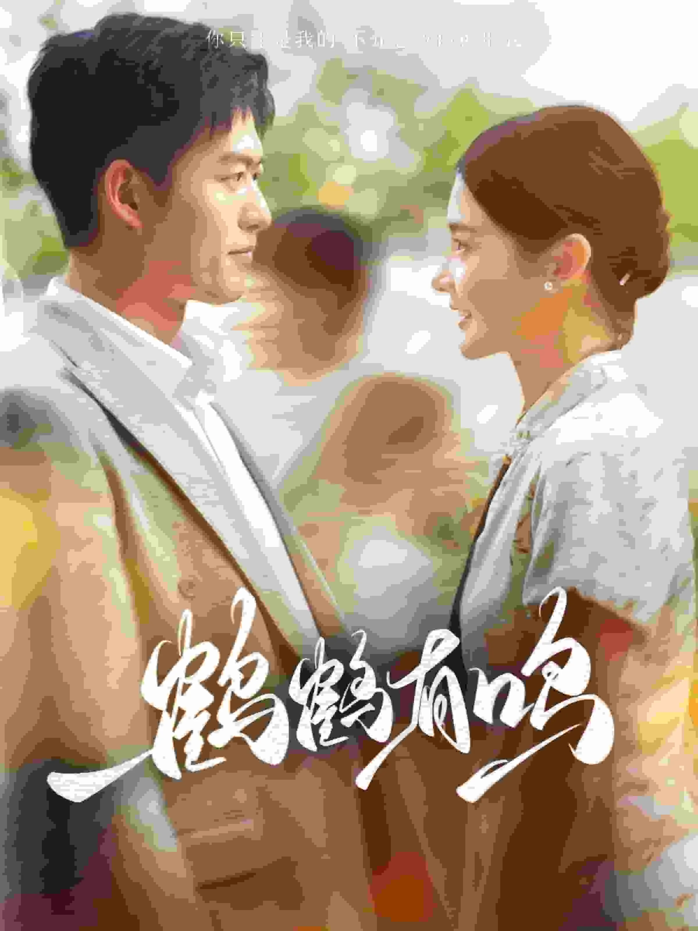 鹤鹤有鸣小说全文免费阅读
