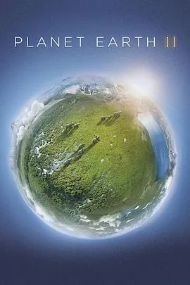 地球脉动第二季城市有哪些动物