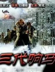 三代响马第二部