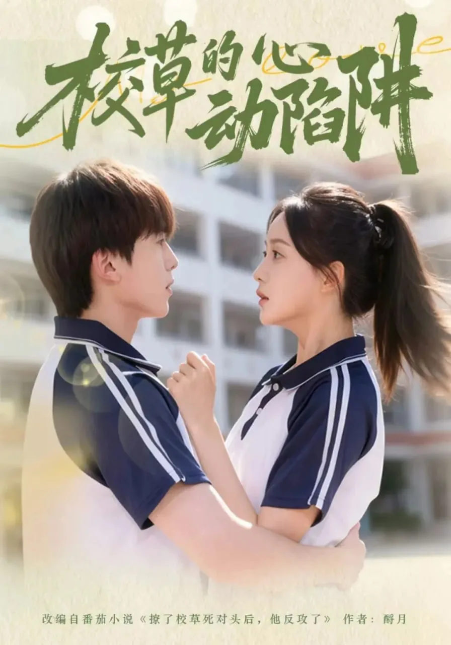 校草的心动陷阱免费观看