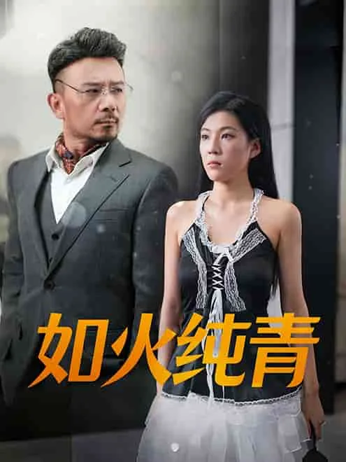 如火纯青类似的成语