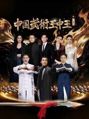 中国武术王中王第二季开播了吗