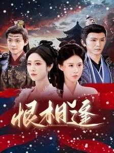 恨相逢误终身