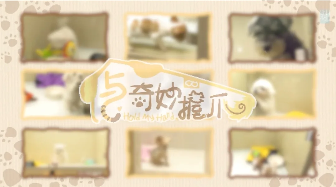 与奇妙握爪完整版
