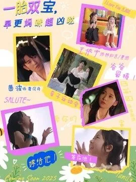 一胎双宝是什么小说