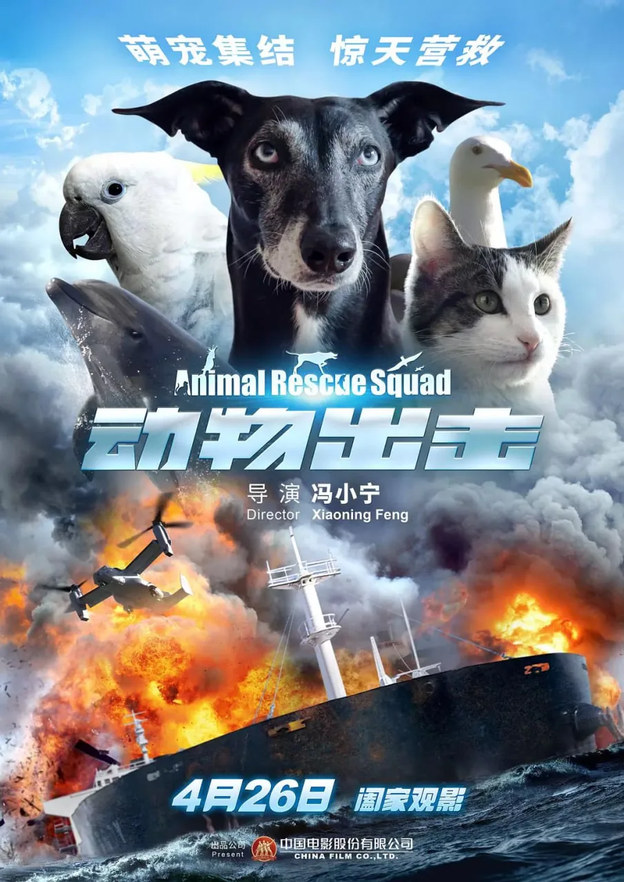 动物出击里的船叫什么名字