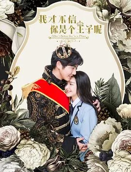 我才不信你是个王子呢第二部演员