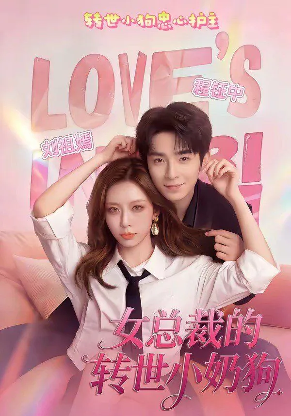 女总裁的转世小奶狗书评