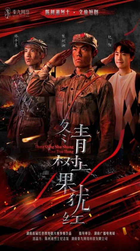 冬青树上结的小果实有什么功效